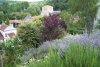 Church from garden