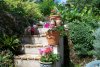 Courtyard steps to garden